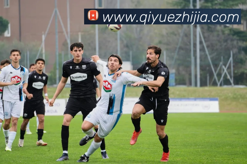 大阳城app注册网站APP 体育赛事宣传图